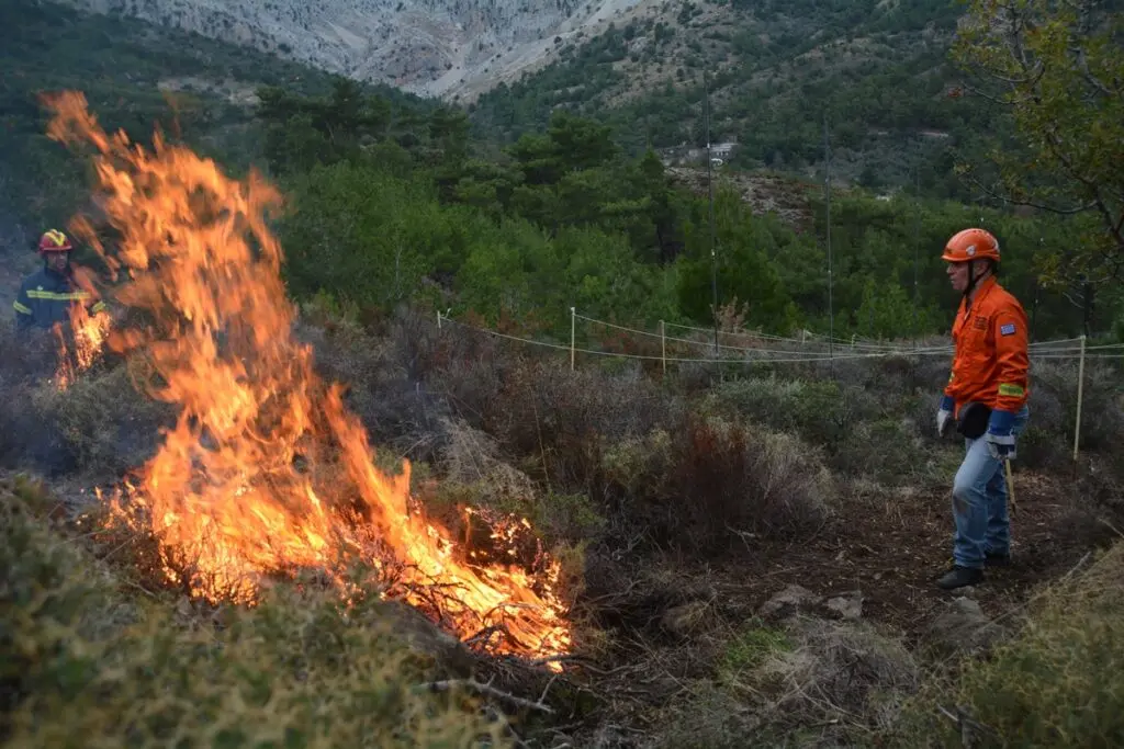 Ελεγχόμενη χρήση φωτιάς σε δασική πυρκαγιά – κατάκαυση και αντιπύρ